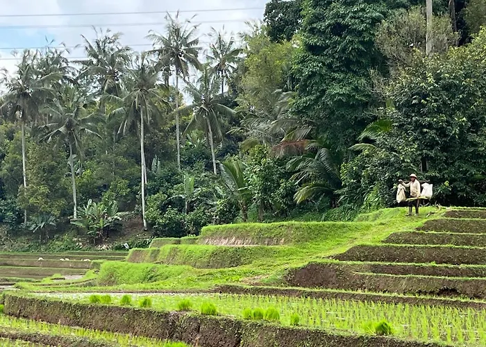 Bliss Retreat & ホテル Balian