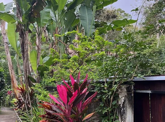 Bliss Retreat & *